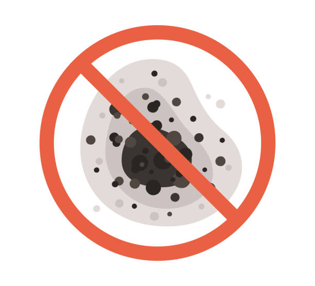 Forensic Mold Investigation in Valley Springs, CA
